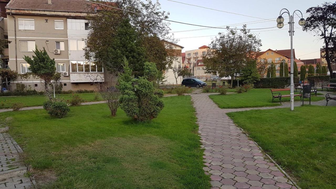 Apartament Ema Băile Felix Esterno foto